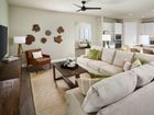 Crescent Lakes - Signature Series - Babcock Ranch, FL