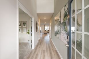 Johnson Basement - Westmont Preserve: Powder Springs, Georgia - Meritage Homes