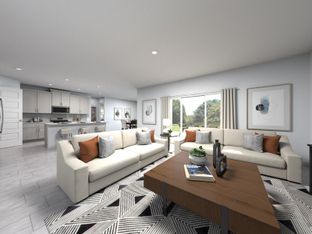 Chesapeake - Salt Meadows - Signature Series: Parrish, Florida - Meritage Homes