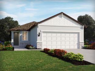 Denali - The Grove at Stuart Crossing - Premier Series: Bartow, Florida - Meritage Homes