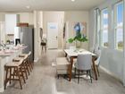 Magnolia Bay - Premier Series - Sarasota, FL