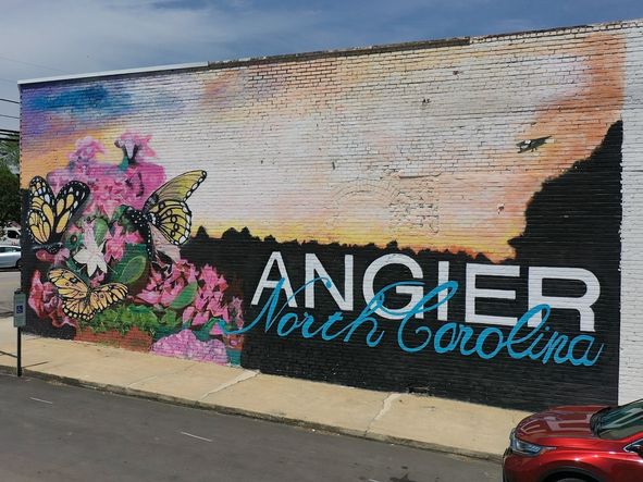 Local shopping and dining in downtown Angier is located only minutes away.