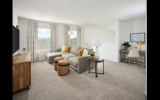 Leyland Preserve - Premier Series: Brooksville, Florida - Meritage Homes