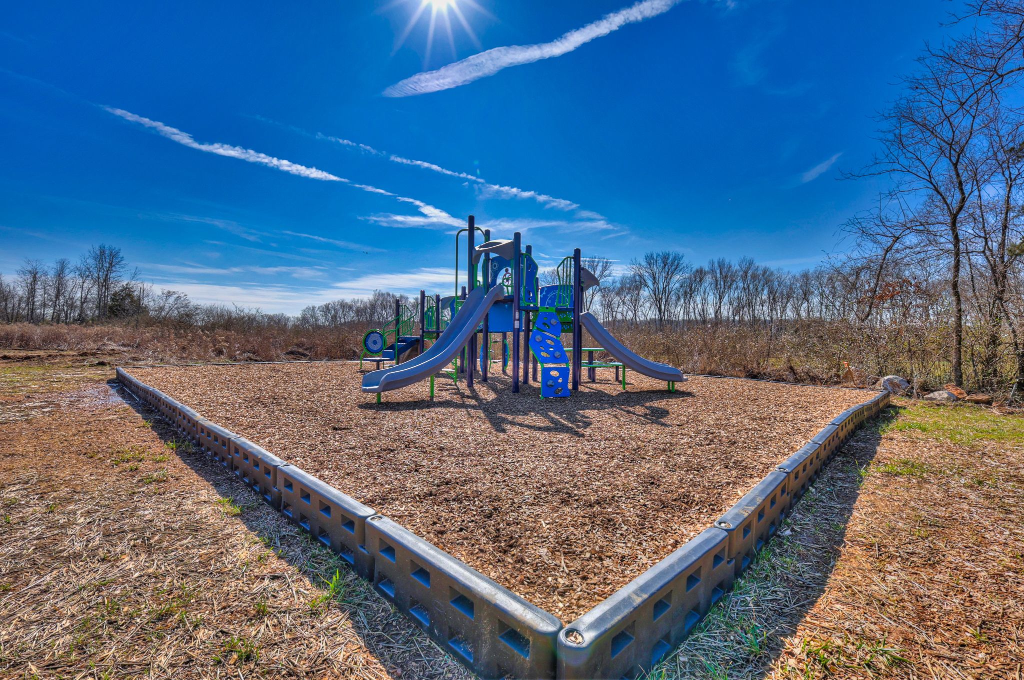 Enjoy community amenities at Wyncliff including a dog park and playground.