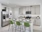 casa en The Grove at Stuart Crossing - Premier Series por Meritage Homes
