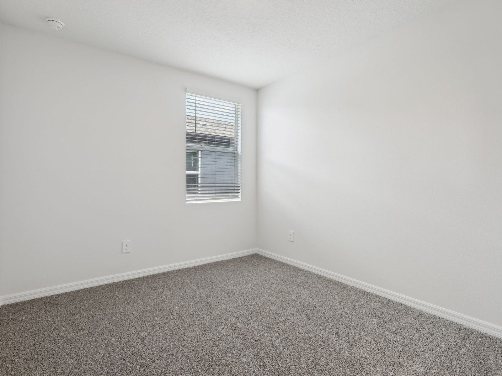 31673 WILD GRAPE LN (Foxglove)