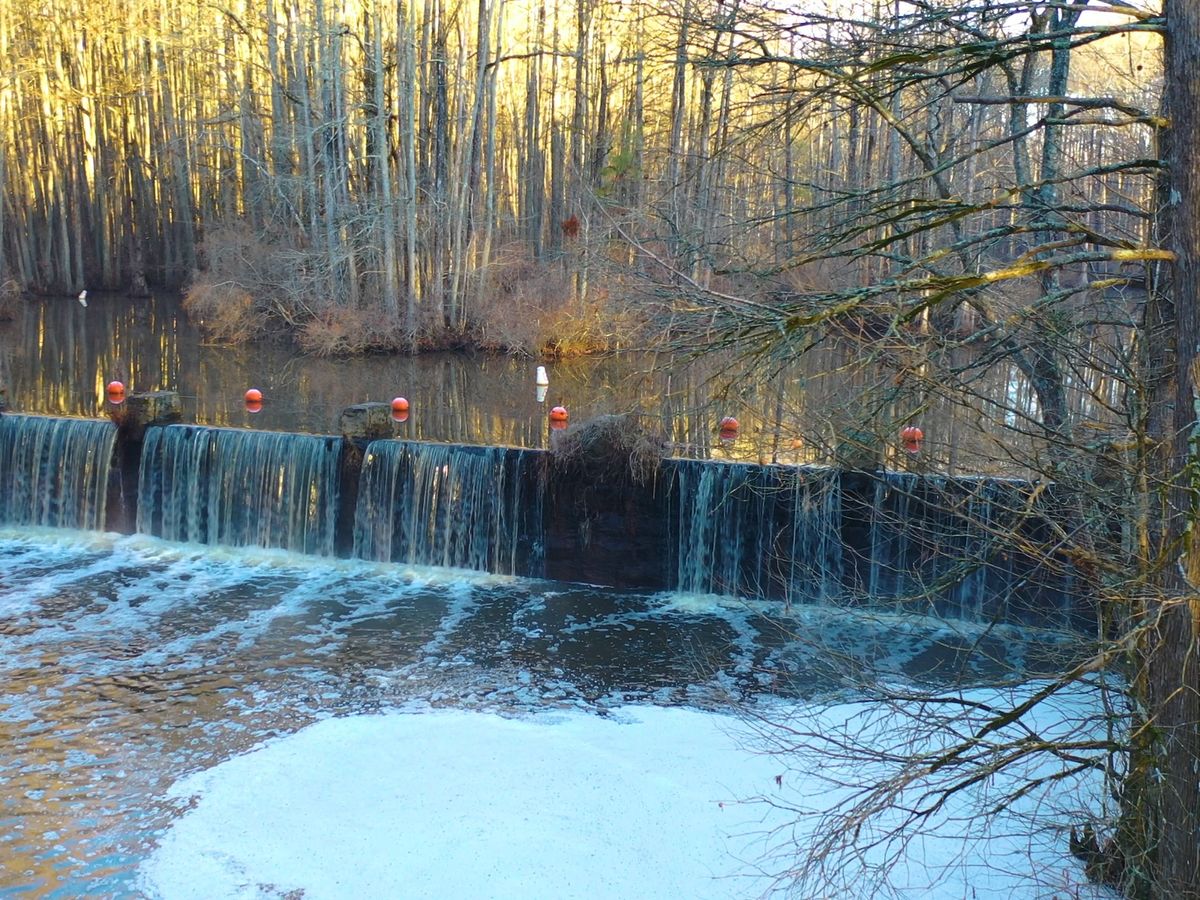 Looking to get outside? Nearby Robertson Millpond Preserve is an 85-acre refuge for nature lovers.