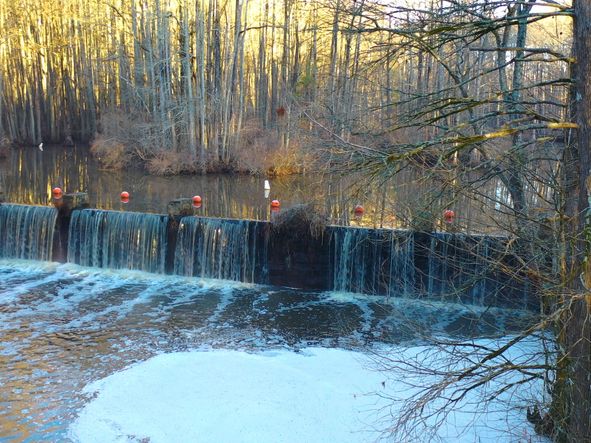 Looking to get outside? Nearby Robertson Millpond Preserve is an 85-acre refuge for nature lovers.