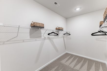 The primary bedroom features a spacious, walk-in closet.