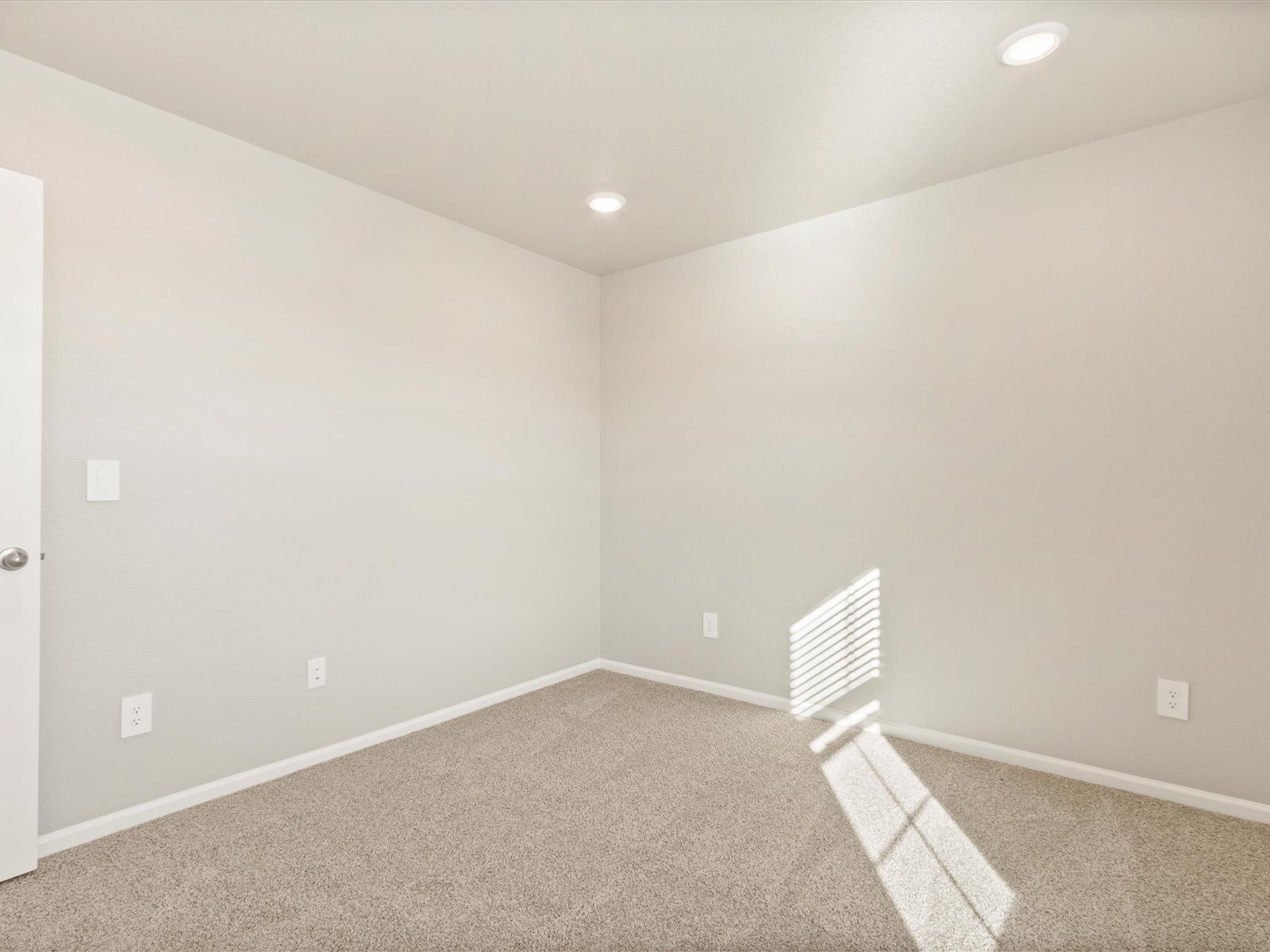 1633 Colorado River Drive. Windsor, CO 80550