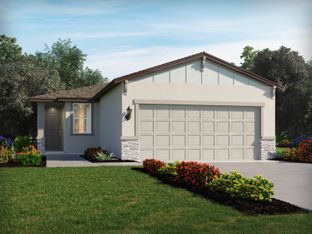 Denali II - Leyland Preserve - Premier Series: Brooksville, Florida - Meritage Homes