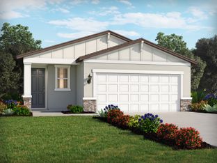 Everglade - Leyland Preserve - Premier Series: Brooksville, Florida - Meritage Homes