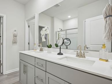 The luxurious primary suite featuring a tray ceiling, dual sinks and a spacious closet.