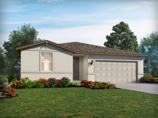 Foxglove - The Grove at Stuart Crossing - Classic Series: Bartow, Florida - Meritage Homes