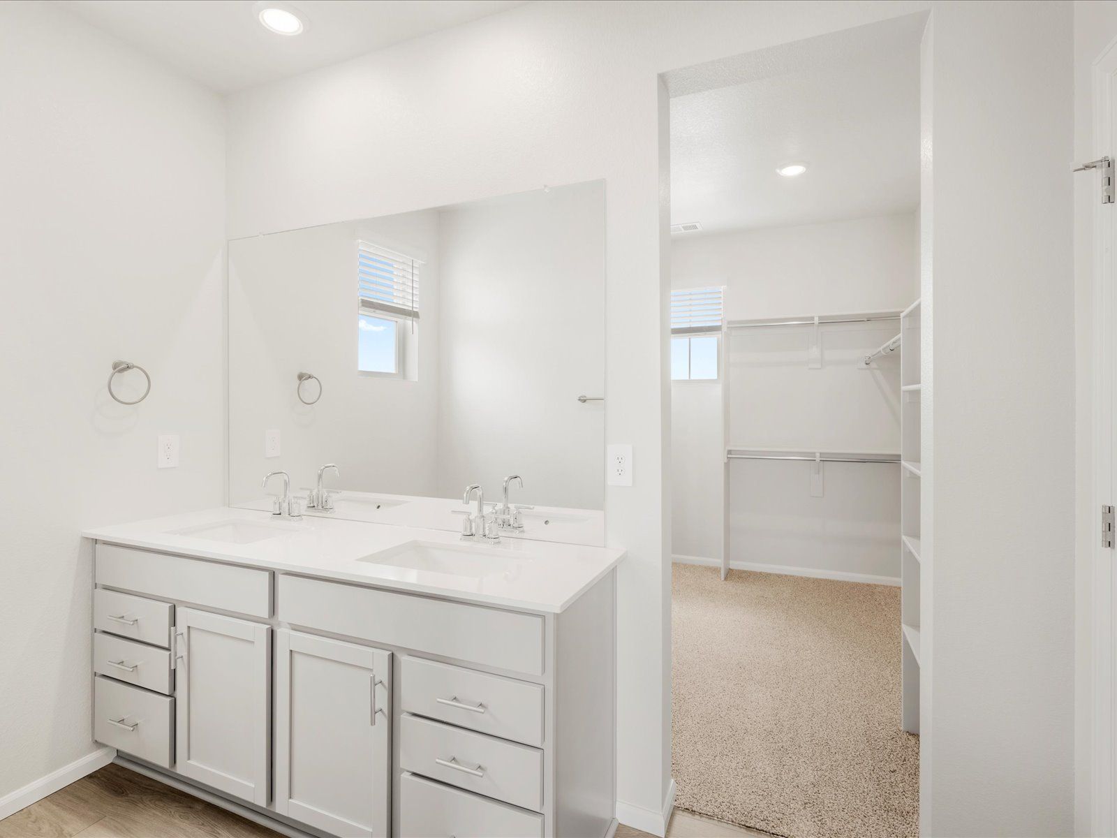DEN_Paint-Brush-Hills_Kenosha_Bathroom_10334-Hartwood-Dr