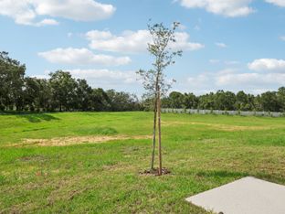 Acadia - Benton Hills - Premier Series: Brooksville, Florida - Meritage Homes