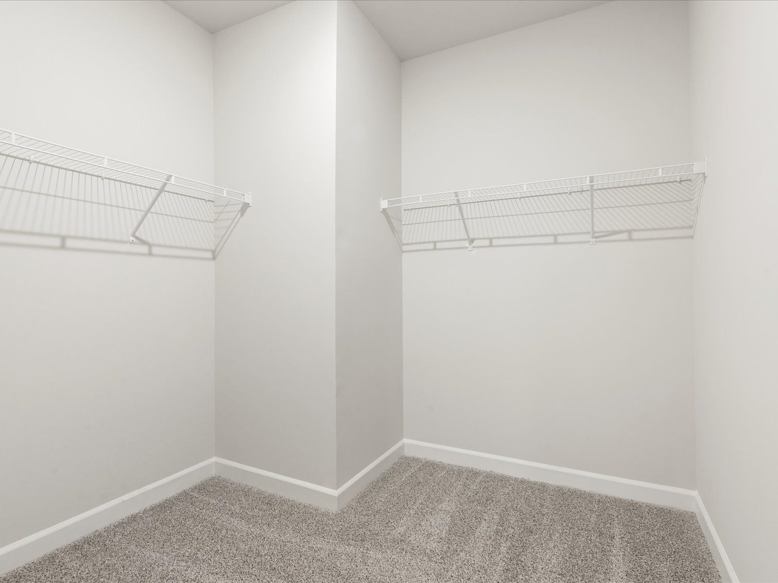 Welcome to the Chandler floorplan at Brayfield Manor - Signature Collection.