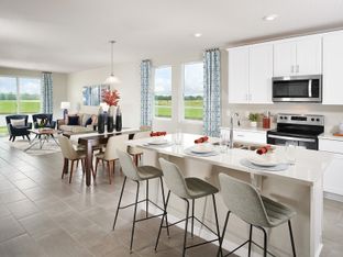 Daphne - Flagler Village - Signature Series: Palm Coast, Florida - Meritage Homes