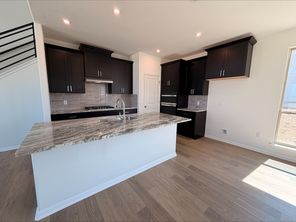 323 Elephant Island Loop (Conchos)