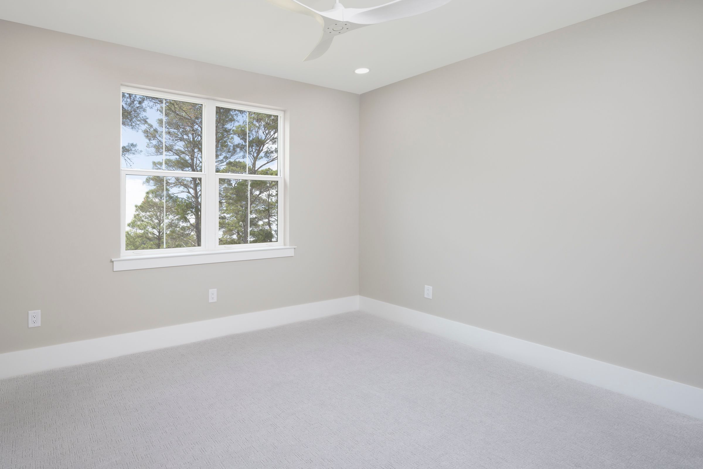 Grand Mainsail Guest Bed/Ensuite