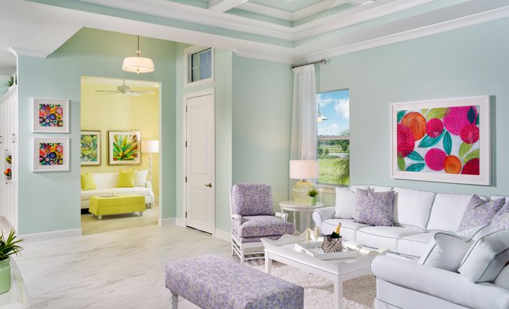 Buttonwood Collection