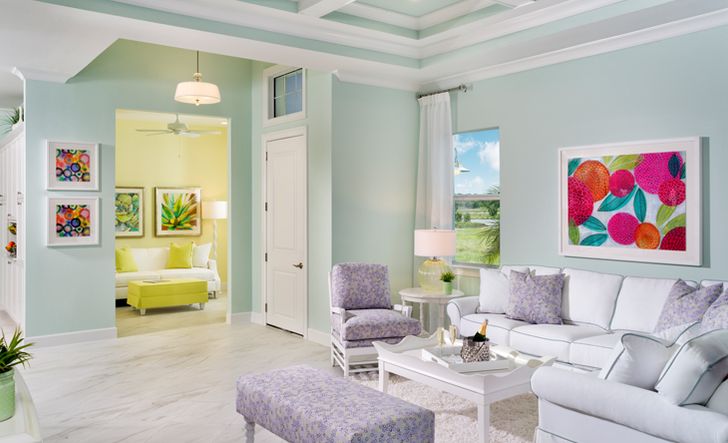 Buttonwood Collection