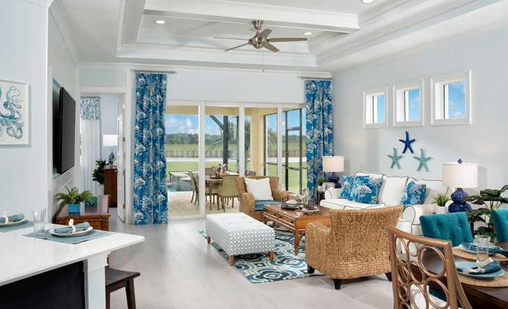 Buttonwood Collection