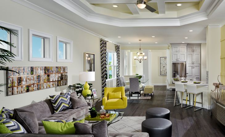 Buttonwood Collection