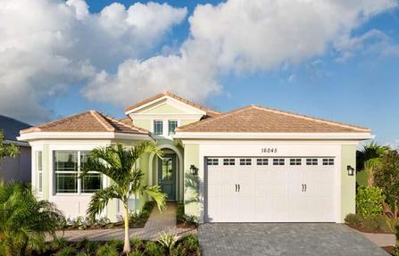 Schefflera by Minto Communities in Palm Beach County FL