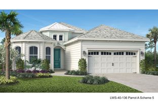Parrot - Latitude Margaritaville Watersound: Panama City Beach, Florida - Minto Communities