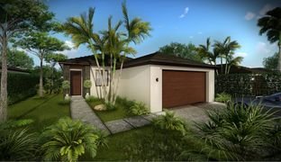 Acacia - Maple Ridge at Ave Maria: Ave Maria, Florida - CC Homes