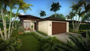 Cedar - Maple Ridge at Ave Maria: Ave Maria, Florida - CC Homes