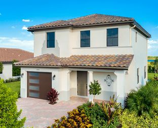 Balboa - Maple Ridge at Ave Maria: Ave Maria, Florida - CC Homes