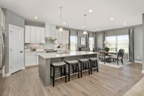 Savannah with Basement