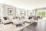 Timothy Branch Single Family Homes - Brandywine, MD