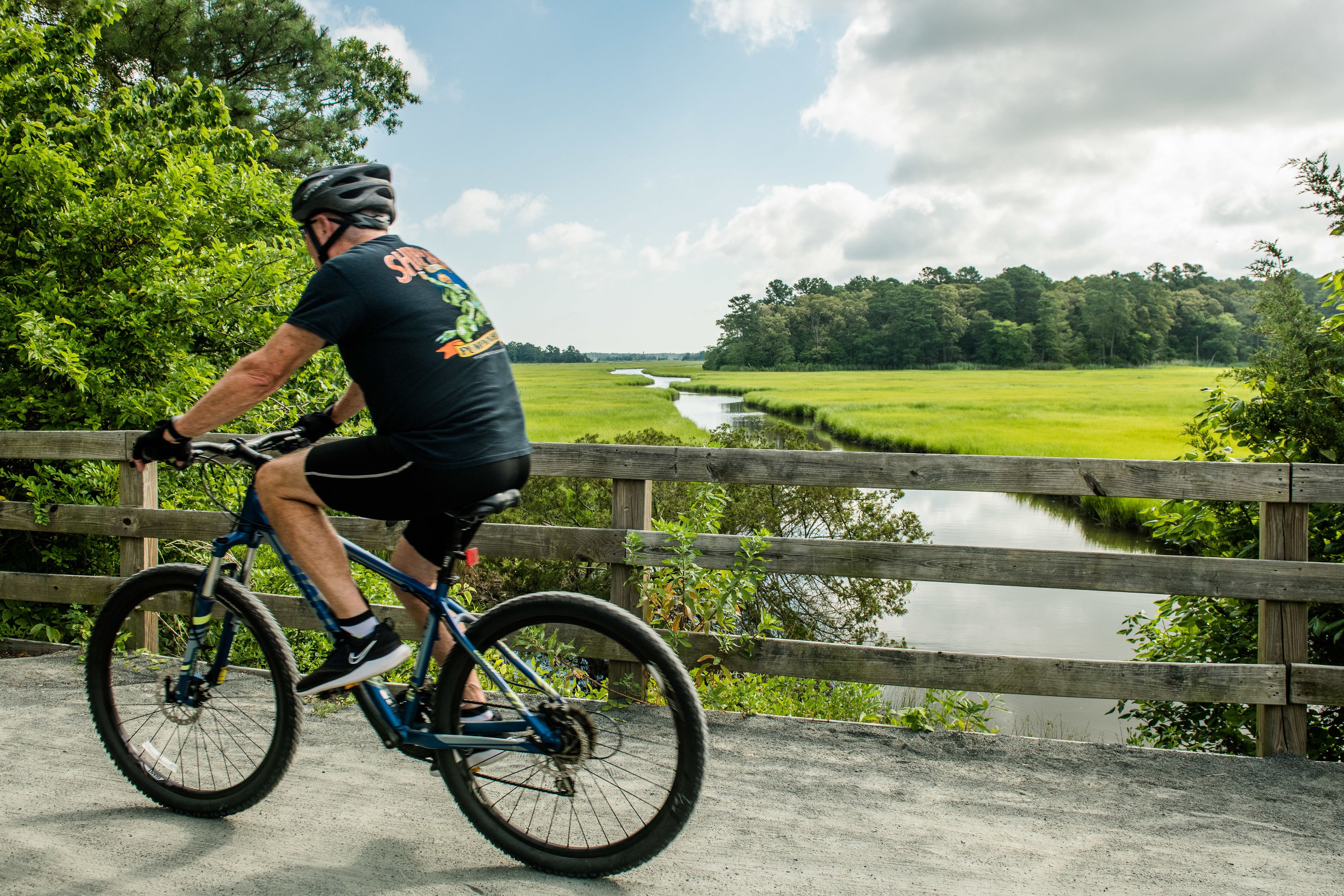 casa en Rivington por Ryan Homes