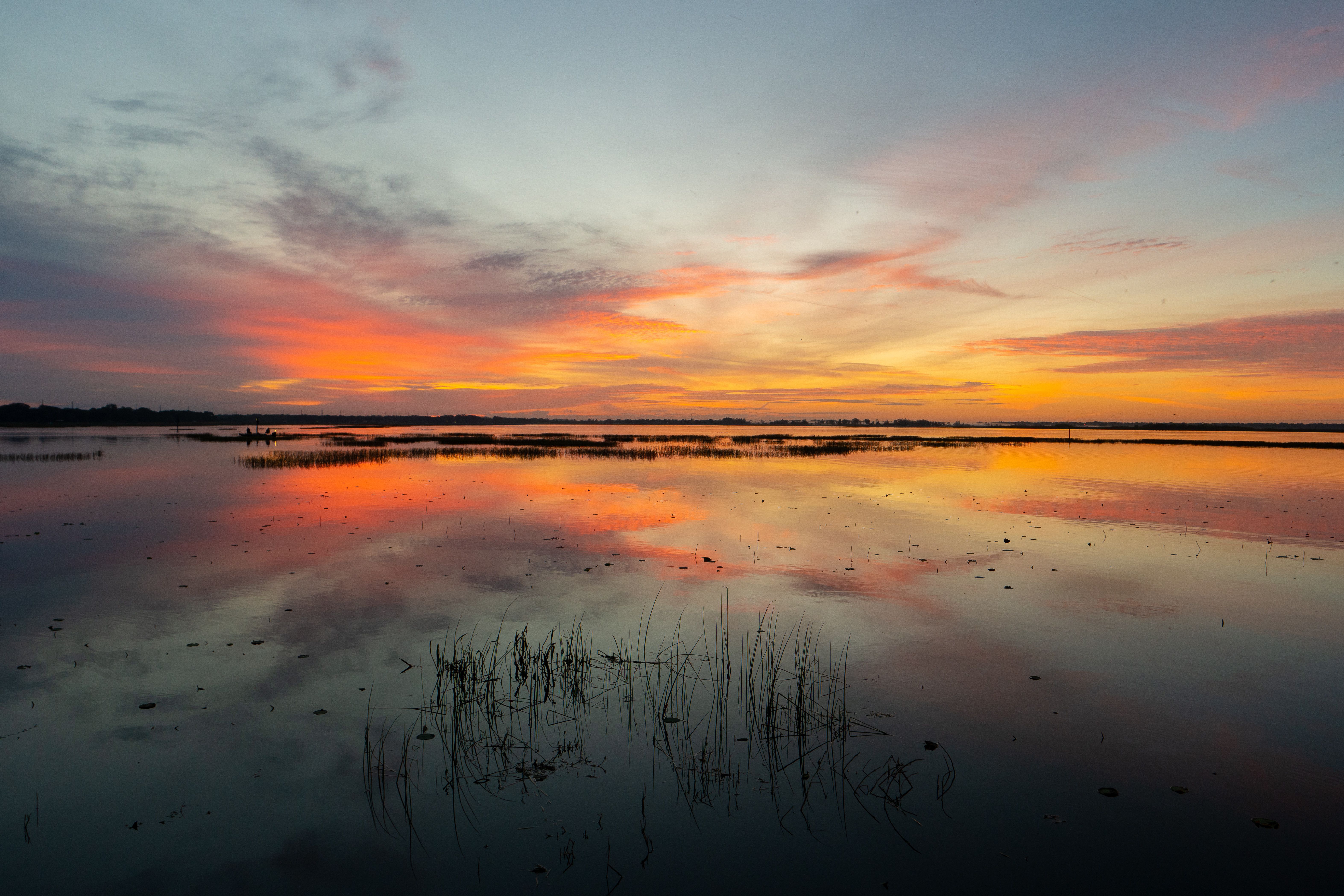 casa en Lake Mattie Preserve Single-Family por Ryan Homes