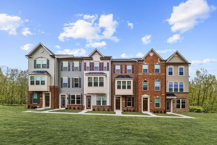 Clarendon Floor Plan - Ryan Homes