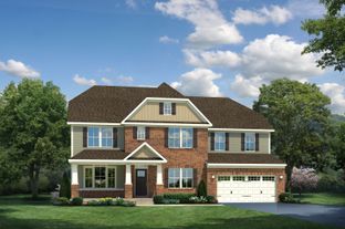Normandy - Lee's Parke: Fredericksburg, District Of Columbia - Ryan Homes