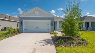 Dream 2 - Canoe Creek: Parrish, Florida - Neal Communities