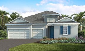 Avelina - Venice, FL