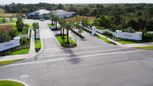Avelina - Venice, FL