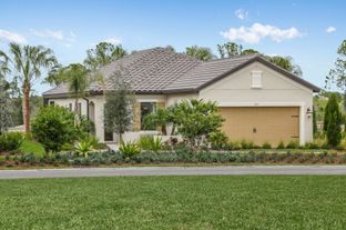 Liberty 4 - Vicenza: North Venice, Florida - Neal Communities