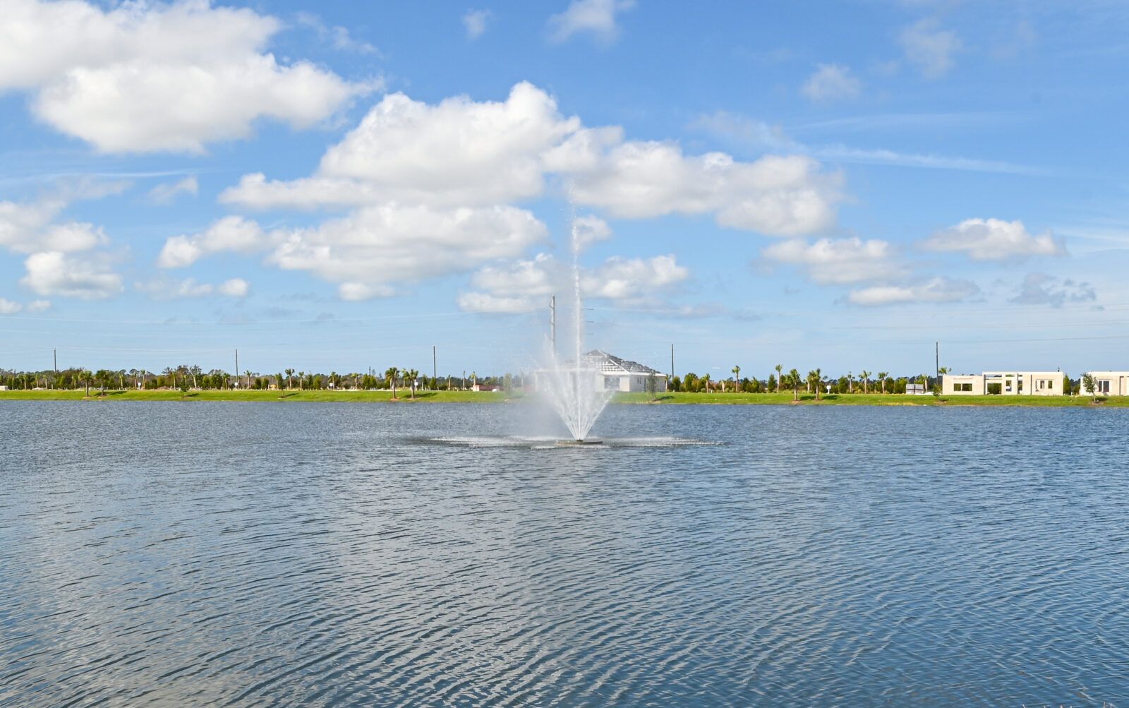 83162725-240904.jpg