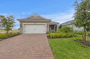 Dream 2 - Verandah: Fort Myers, Florida - Neal Communities