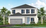 Palmera - Venice, FL