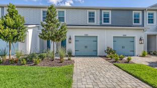 Avery - Palm Grove: Lakewood Ranch, Florida - Neal Communities
