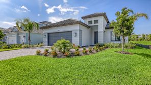 2234 Lady Palm Loop (White Star)