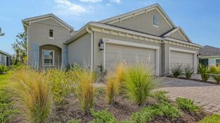 Tidewater 2B - Wildleaf: Parrish, Florida - Neal Communities