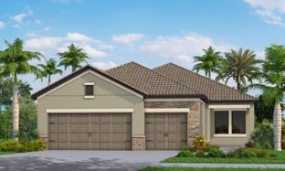 Meadow Brook - Vicenza: North Venice, Florida - Neal Communities